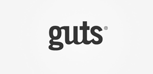 全能实用可靠的网站攻击器